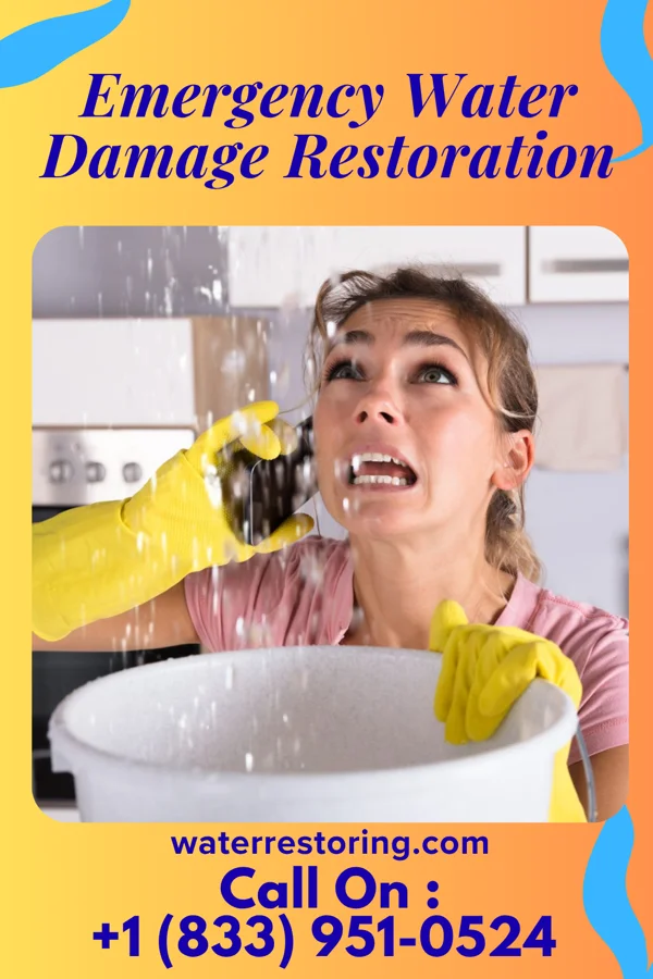 Emergency Water Damage Restoration in North English, IA